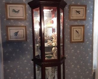 Lighted Curio cabinet 