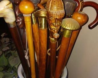 Walking stick cane collection