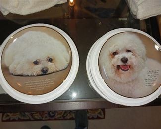 Bichon frize collector plates