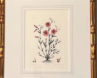 Signed and Numbered Botanical Etching by Dan Mitra 