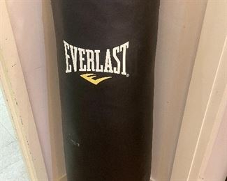 Everlast Punching Bag - 100 lbs.