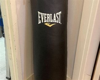 Everlast Power Core 100lb bag.