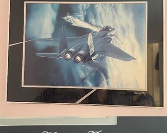 Approximately 28” x 22” Framed Photo-Bird of Prey 