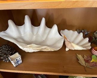 16” clam shell
9” clam shell 