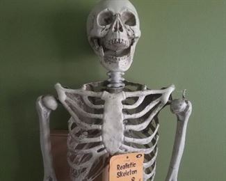 Halloween skeleton, lifesize