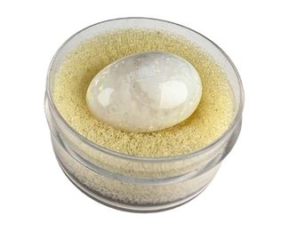 Loose Genuine Oval Opal Gemstone