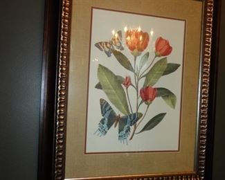 Pair Butterfly Prints 24 x 30