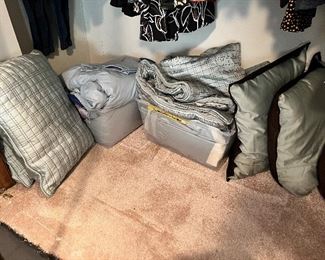 Teal and brown, full size, comforter and accent pillows