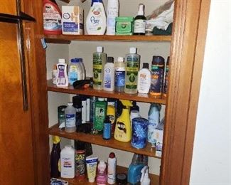 Misc. houseshold cleaners and personal care items