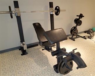 Gold's Gym bench and weights. Available Now. TEXT only - Gail for prices and an appointment 630-432-0926