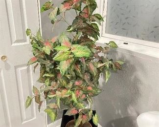 Tall Coleus faux plant,  5'2"H,   was $35, NOW $24