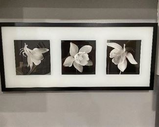 Daffodil picture,  28" x 12",  was $26, NOW $20