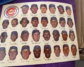 Vintage1973 Cub Roster Photo