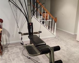 BowFlex Schwinn Model - one of the 2 pieces available for immediate sale - message for details