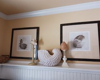 Seashell themed pictures
