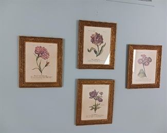 Botanical flower prints series of four