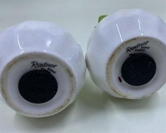 Radnor Carnation Salt and Pepper Shaker Set