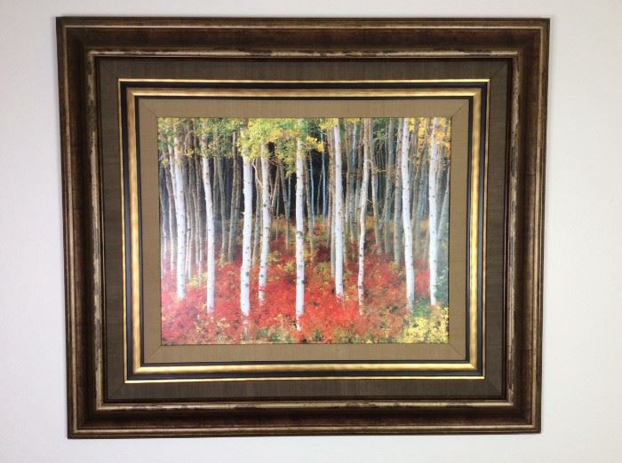 Aspen Grove" Print

Large, colorful print in a wooden frame. Measures H40" x W46". 