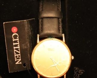Citizen Watch  Broken Face 
