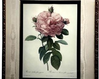 Pierre-Joseph Redouté "The Rose" Print
