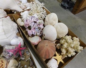 Shells