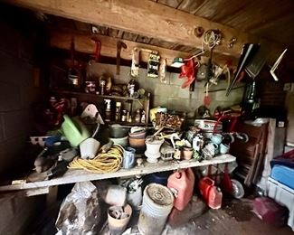 The famous ‘Man Cave’ under the house.