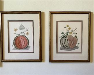 Botanical lithographs 