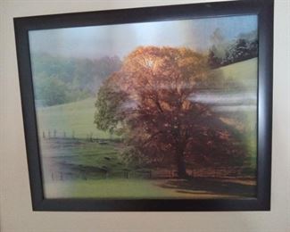 3 D Four Seasons tree Hologram Art