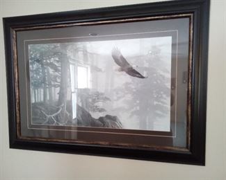 Eagle Framed Picture