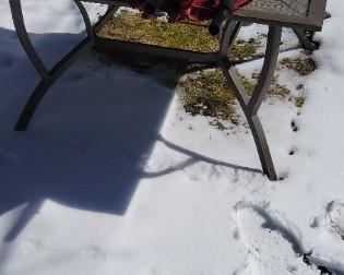 Heavy Patio Table & Umbrella