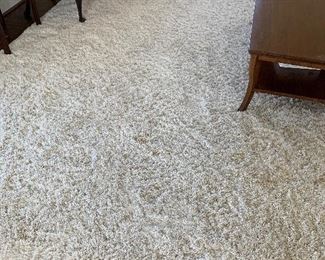 Shag carpet