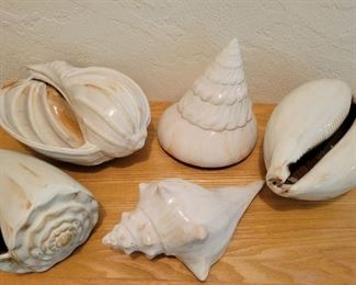 Ceramic shells
