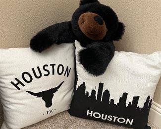 Houston throw pillows
