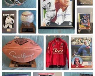 Sports Memorabilia Auction