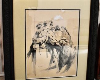 Framed William Robinson Leigh macaws etching