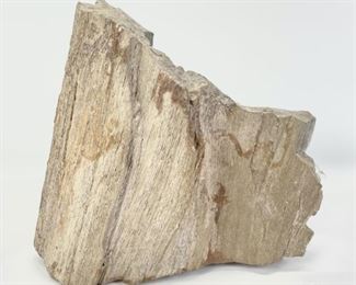 6.5" Petrified Piece Of Wood Rock