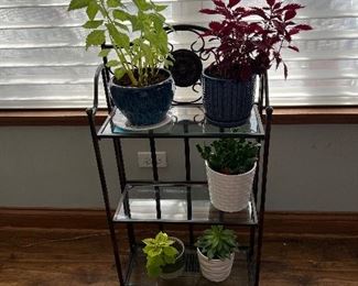 Plant Shelf and Plants 