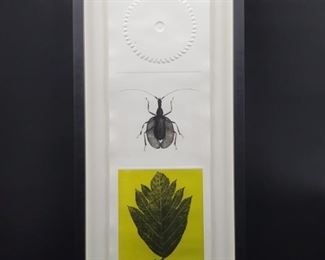 "Insect, Gear, Leaf C" Deboss Letterpress by
Toborda
