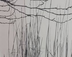 J. Barry Thompson, Photo