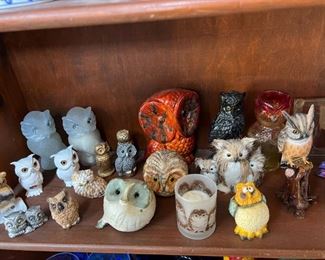 Owl Collection