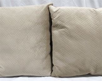 73 - Pair throw pillows - 22 x 22
