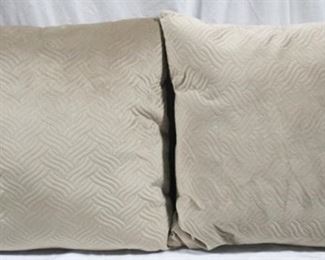 74 - Pair throw pillows - 22 x 22
