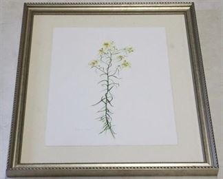 121 - Framed botanical - 23 x 20
