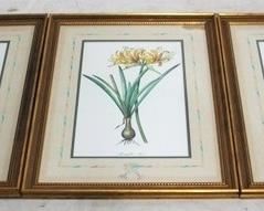 302 - 3 Piece Framed botanical prints 30 x 23
