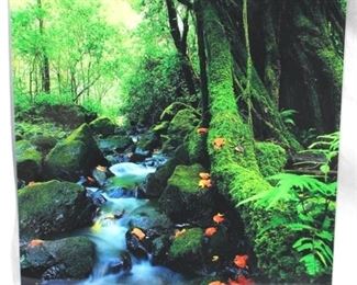 6323 - Lee Rylee #25/1000 acrylic photograph, 11.5 x 11.5
