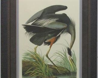 9015 - Great Blue Heron by John J Audubon 29.5 x 38
