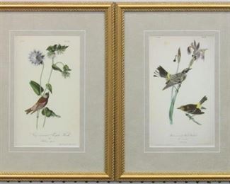 9038 - Set of 2 antique birds by John J Audubon 12 x 16.25
