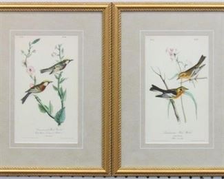 9040 - Set of 2 antique birds by John J Audubon 12 x 16.25
