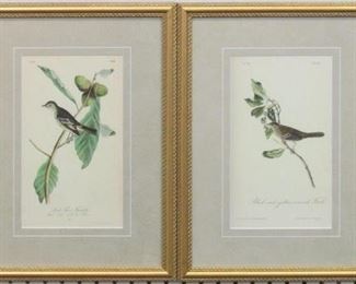 9041 - Set of 2 antique birds by John J Audubon 12 x 16.25
