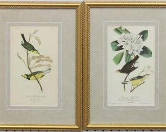 9042 - Set of 2 antique birds by John J Audubon 12 X 16.25
